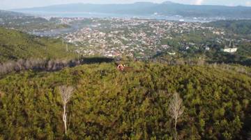 Gunung Kayu Satu, Pendakian Santai dengan Pemandangan Ambon