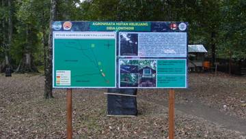 Agrowisata Hutan Keleliang, Hadirkan Rempah Legendaris Pala Banda