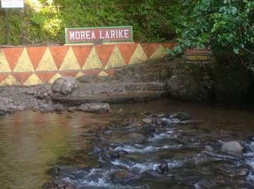 Morea Raksasa Larike Jadi Magnet Wisata Ambon
