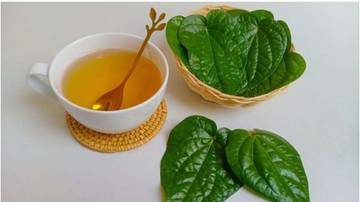 Tujuh Manfaat Air Rebusan Daun Sirih