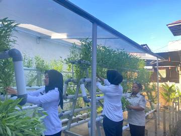 ​Panen Sayur Hidroponik, Warga Binaan Penuhi Kebutuhan Dapur Lapas Wahai