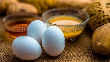 Manfaat Konsumsi Madu dan Telur Ayam Kampung 
