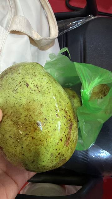 manfaat buah mangga untuk kesehatan