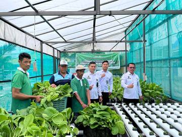 Lapas Luwuk Panen Sawi Hidroponik Dukung Ketahanan Pangan