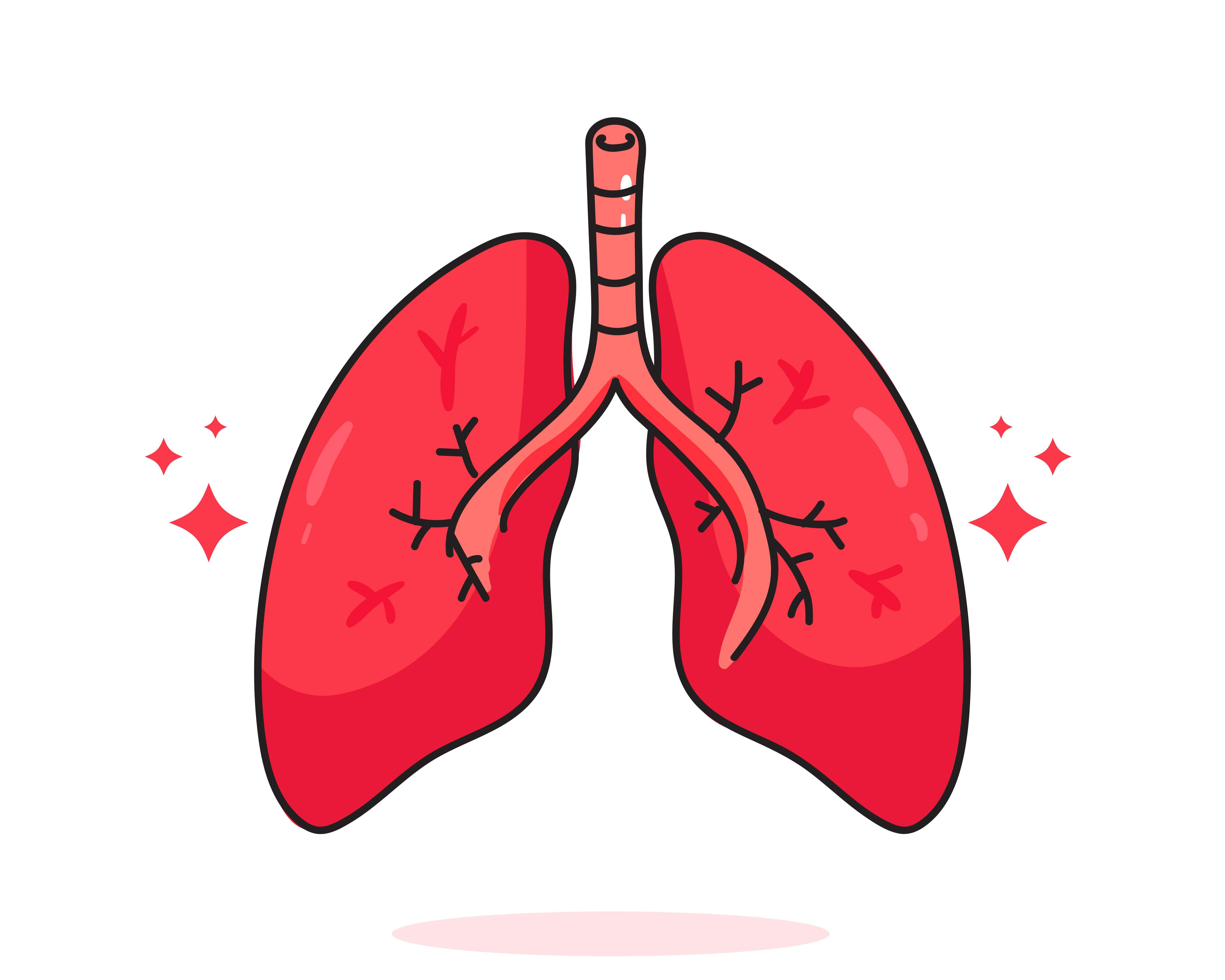 Pentingnya Menjaga Paru-paru, Organ Fundamental dalam Tubuh