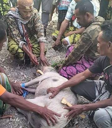 Kearifan Lokal Jadi Benteng Perlindungan Kawasan Konservasi