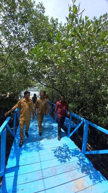  Wisata Titian Manggrove Pesinghong Alor Dilaunching