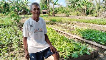 Petani Sayur di Belu Keluhkan Harga Tidak Stabil