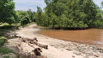 Kerusakan Mangrove Menyebabkan Abrasi Pesisir Pantai Atapupu Belu