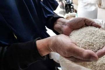 Mengapa Zakat Fitrah Harus Dibayar dengan Beras? 