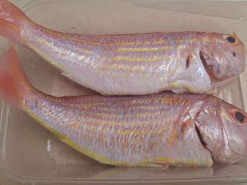 Ide Kreasi Olahan Ikan Kurisi 
