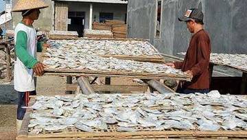 Cara Mengawetkan Makanan Secara Alami dan Sehat
