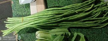 Mitos atau Fakta? Makan Kacang Bikin Wajah Jerawatan