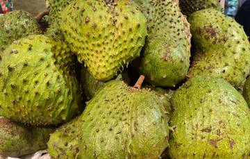 Manfaat Buah Sirsak untuk Kesehatan Tubuh Anda