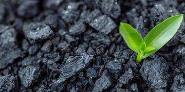 Biochar dan Metode AWD, Solusi Pertanian Ramah Iklim