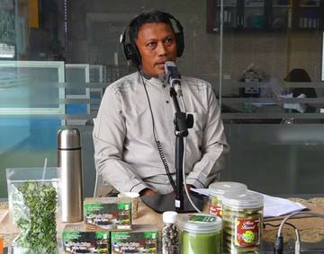 Potensi Daun Kelor Aceh Tarik Pasar Internasional
