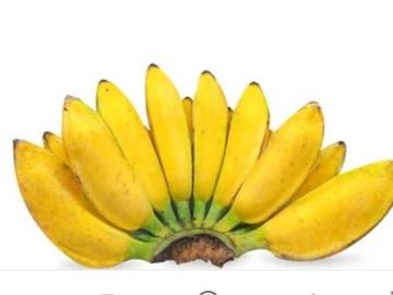 Manfaat Rebusan Pisang Kepok ala Budaya Aceh