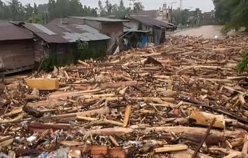Mengapa Hutan Harus Dijaga?
