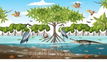 Mangrove dan Bakau, Istilah Berbeda dengan Fungsi Serupa