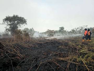 Kebakaran Lahan Gambut Aceh Barat Pemicu Titik Panas 