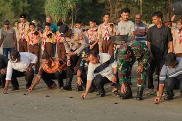 Puluhan Ekor Tukik Dilepas di Pesisir Lhoong