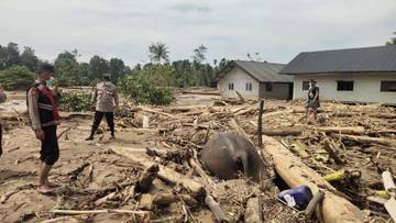 Hutan Hancur, Bencana Aceh Bisa Lebih Dahsyat