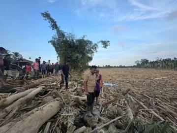 Soal Kayu Gelondongan, Polda: Penegakan Hukum Tetap Jalan