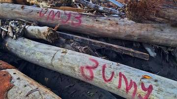 DLHK Aceh Lakukan Pendataan Kayu Gelondongan Banjir Bandang 
