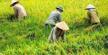 NTP Aceh Januari 2026 Naik 0,95 persen