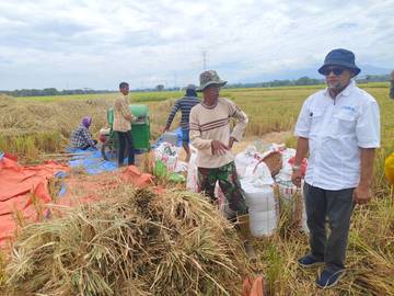 Bulog Serap 6,5 Ton Gabah Petani di Aceh 