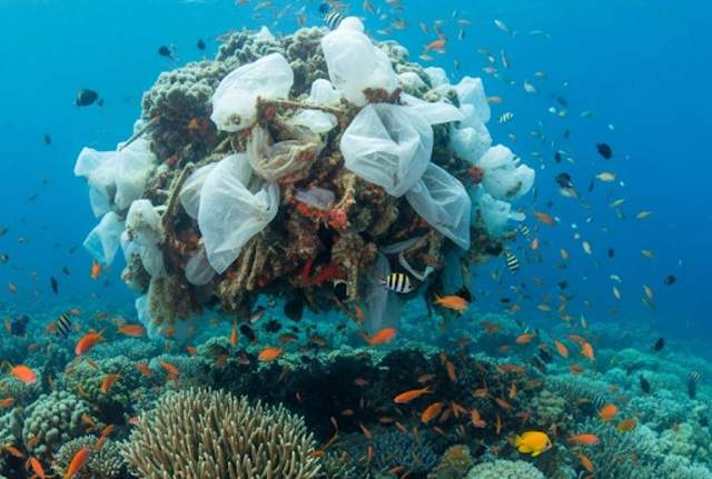 Kantong Plastik Solusi Ramah Lingkungan Menjadi Ancaman Global