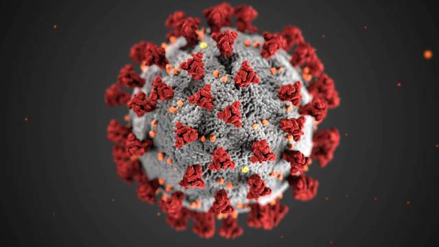 Dinkes Lampung Temukan Puluhan Kasus Influenza Tipe A