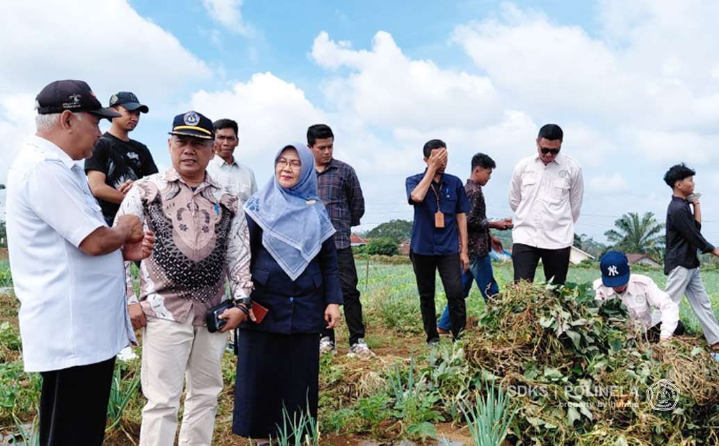 Mahasiswa Polinela Aktif Ikut Kembangkan Ubi Jalar Unggul