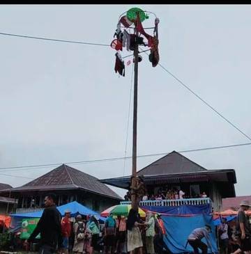 Pesta Budaya, Sakura Cakak Buah