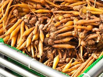 Fakta Menarik Bumbu Dapur Kunci