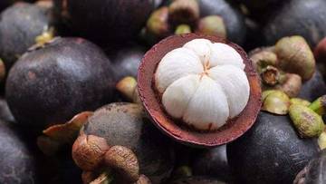 Manggis Terpilih Jadi Buah Terbaik se-Asia Tenggara 