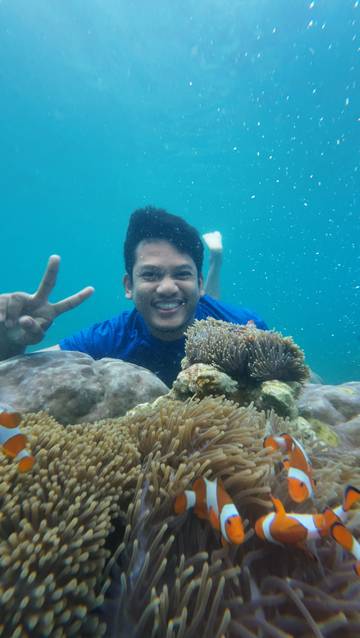 Snorkeling di Pulau Sebesi 