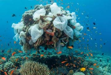 Kantong Plastik Solusi Ramah Lingkungan Menjadi Ancaman Global