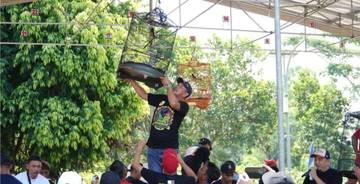 Pemkab Tulang Bawang Barat Gelar Lomba Burung Kicau