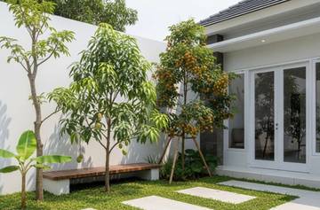 Tanaman Buah yang Cocok di Halaman Rumah