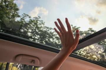 Cara Efektif Menghilangkan Jamur pada Kaca Mobil