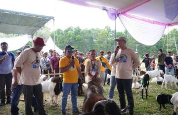 Kontes Kambing Digelar di Tulang Bawang Barat 