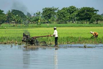 Pemprov Lampung Terus Perkuat Program Ketahanan Pangan