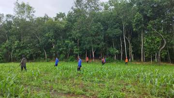 Basarnas Cari Lansia Hilang di Gadingrejo Pringsewu