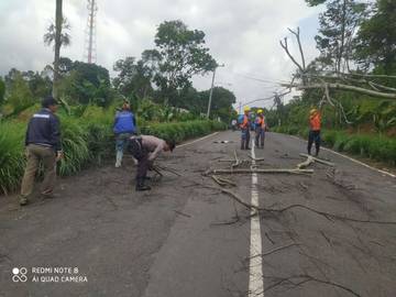 Bhabinkamtibmas Polsek Telukbetung Timur Evakuasi Pohon Tumbang 