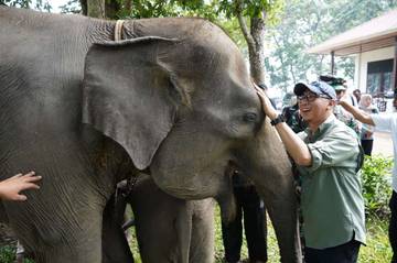  Gubernur Lampung Dorong Penanganan Terpadu Konflik Gajah-Manusia TNWK