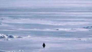 Kisah Nihilist Penguin, Klip Lama Kembali Menggema