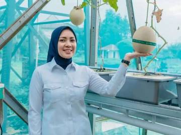 PKK Lampung Panen Buah di PKK Agro Park