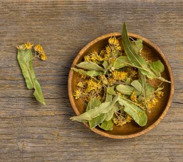 Daun Mullein, Tanaman Herbal untuk Kesehatan Paru-Paru
