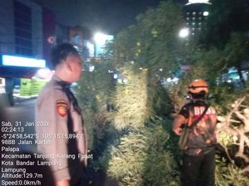 Polisi Bersama BPBD Evakuasi Pohon Tumbang di Jalan 